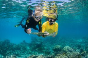 Four Australian cruise firms join Ecotourism Hall of Fame