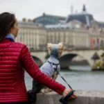 RSPCA advises on new EU pet travel rules