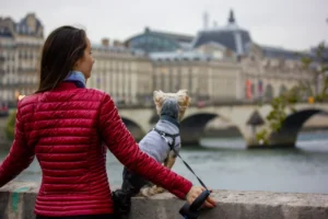 RSPCA advises on new EU pet travel rules