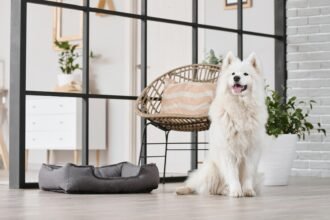 How long Can Dogs Hold Their Pee